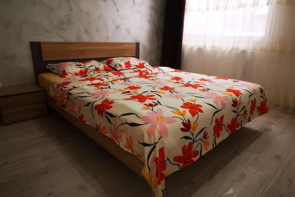 Two Bedroom Apartment Roşu Εξωτερικό φωτογραφία